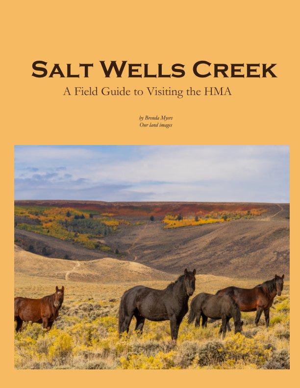 View Salt Wells Creek by Brenda Myers
