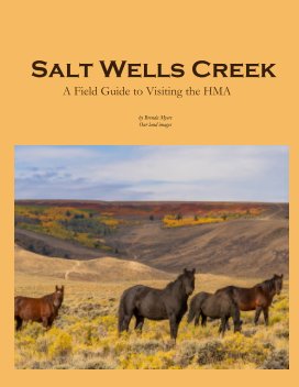 Salt Wells Creek book cover