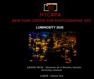 NYC4PA Luminosity 2026 book cover