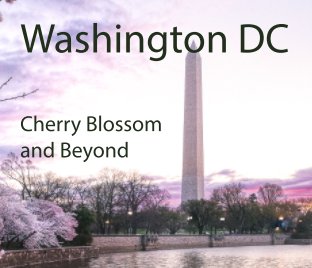 Washington DC book cover