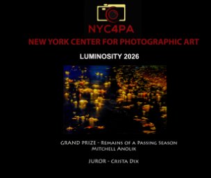 NYC4PA Luminosity book cover