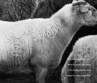 Urban Sheep Rotterdam book cover